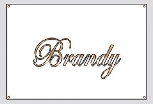 brandy banner 300x300
