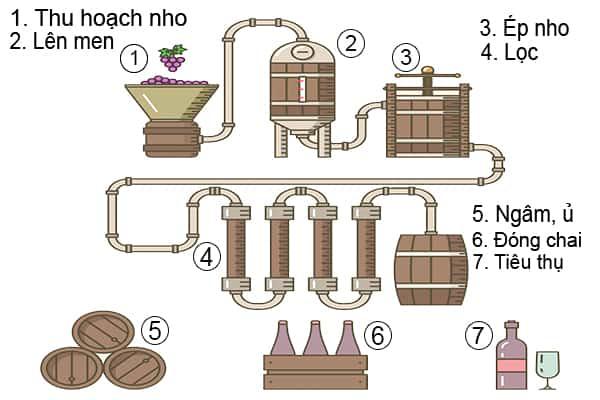 quy-trình-sản-xuất-rượu-vang-PhanphoiruouNgoai