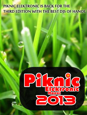 piknic electronic2013
