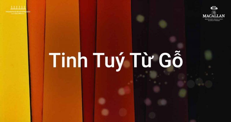 tinh-tuy-tu-go-soi-các-loai