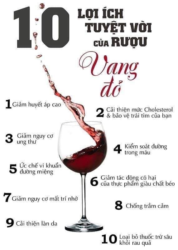 10-lọi-ich-vang-do-ban-can-biet