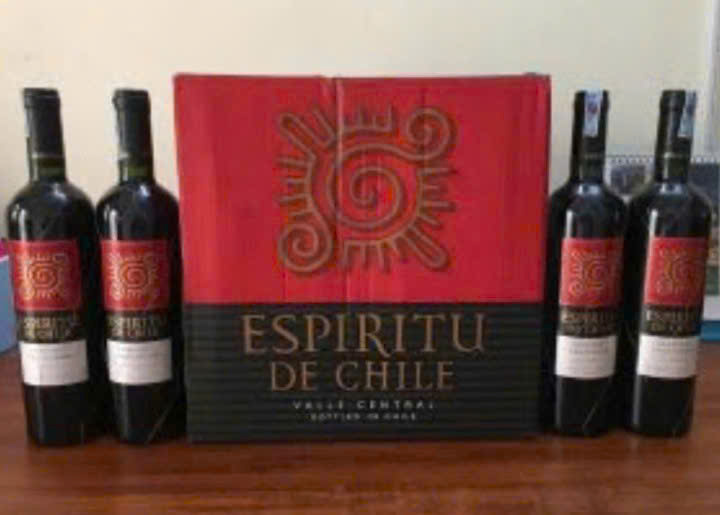 Quy-cach-Espiritu-De-Chile-Cabernet-sauvignon-750ml