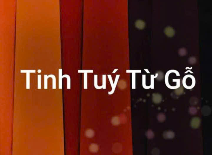 Tinh-tuy-tư-go-soi