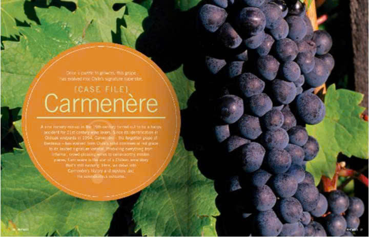 amor-de-chile duoc-lam-tu-nho-carmenere