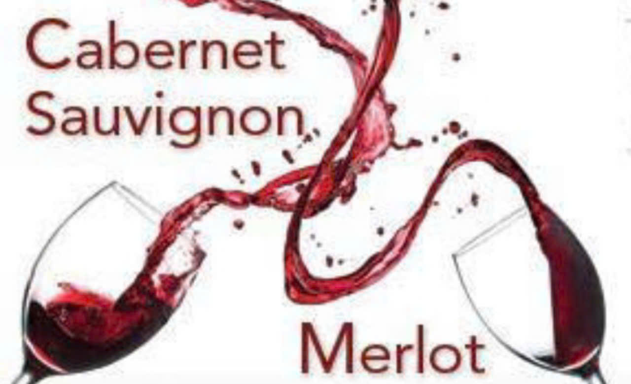 Cabernet-sauvignon-va-Merlot-1