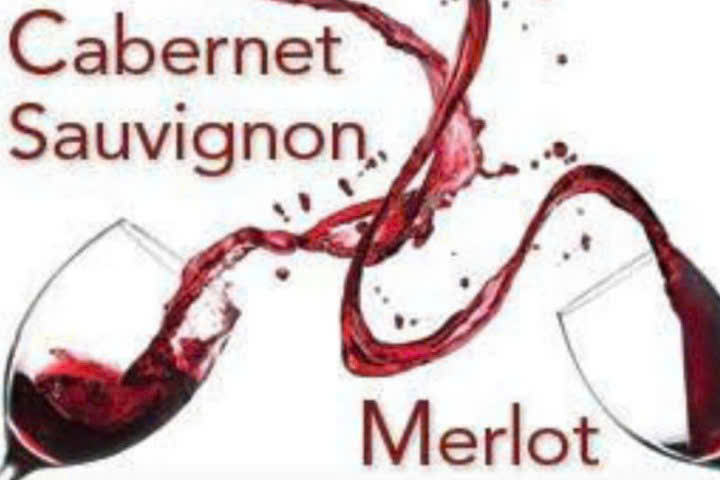 Su-phoi-tron-cap-giong-nho-Cabernet--Merlot-de-lam-Les-Martineaux