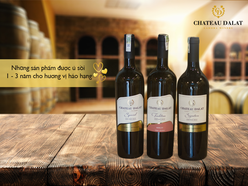 Chateau dalat-tradition-merlot-gioi-thieu