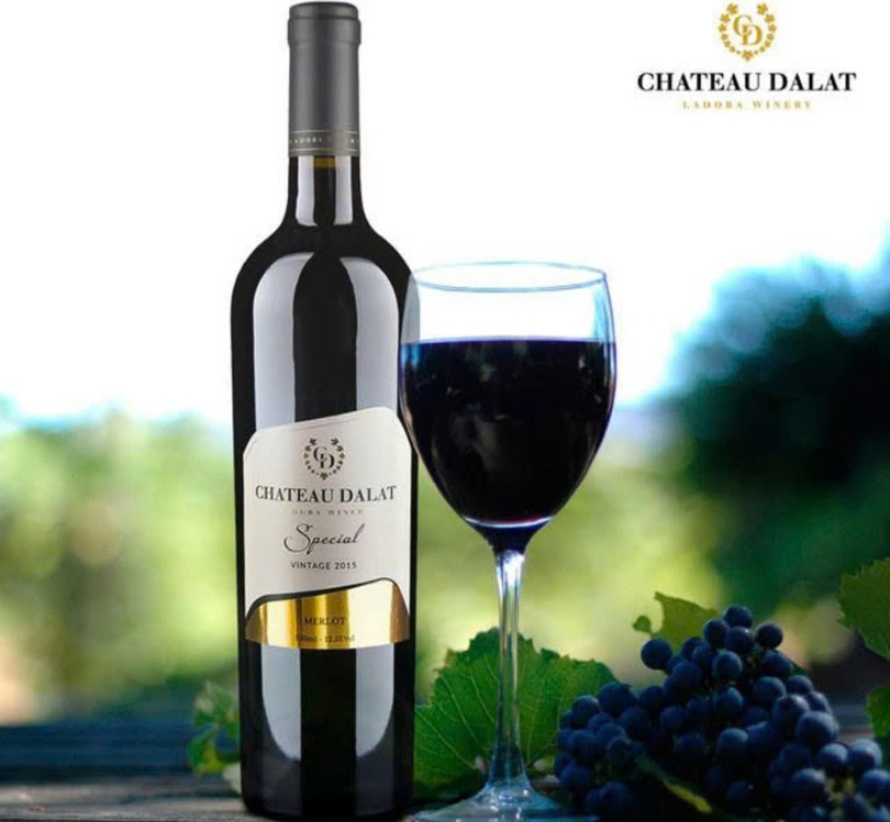 Dung-chuan-vi-voi-Dalat-Special-Merlot