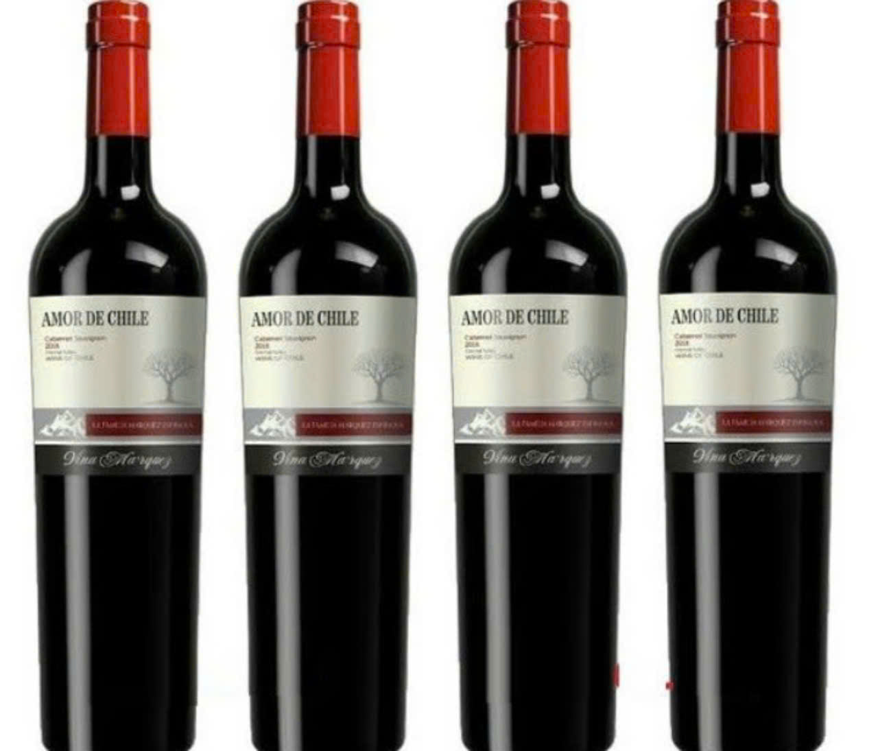 trung-bay-vang-chile-Amor-Cabernet-sauvignon