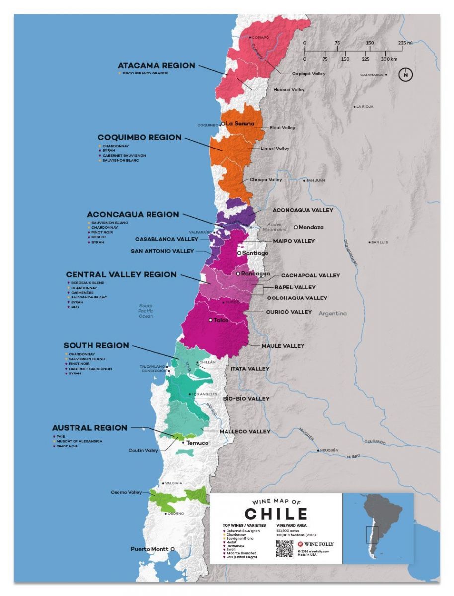 wine-map-ruou-vang-chile